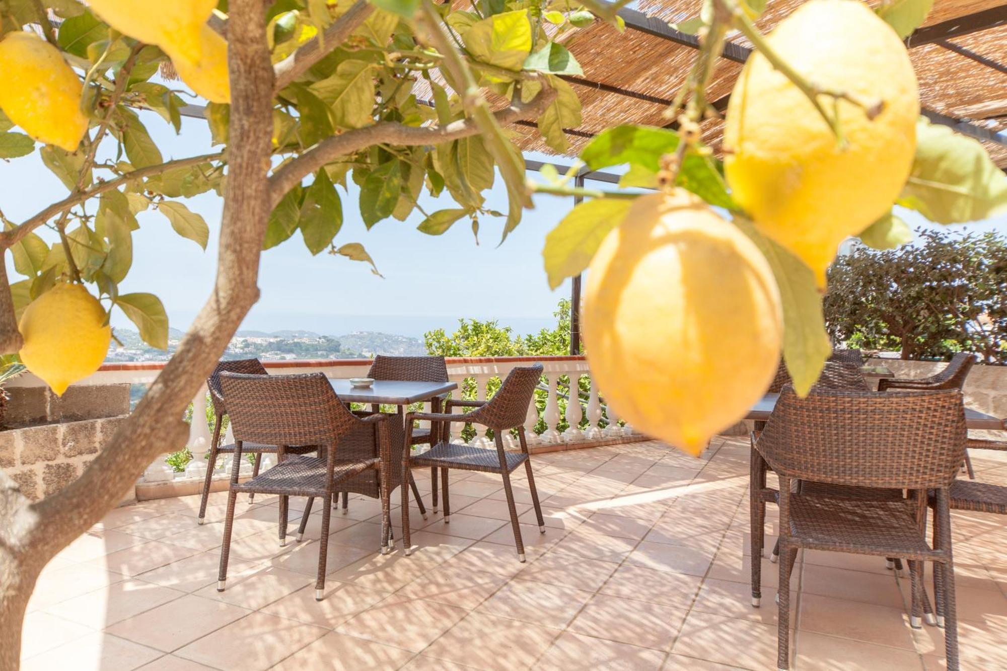 Hotel Ape Regina Casamicciola Terme Extérieur photo